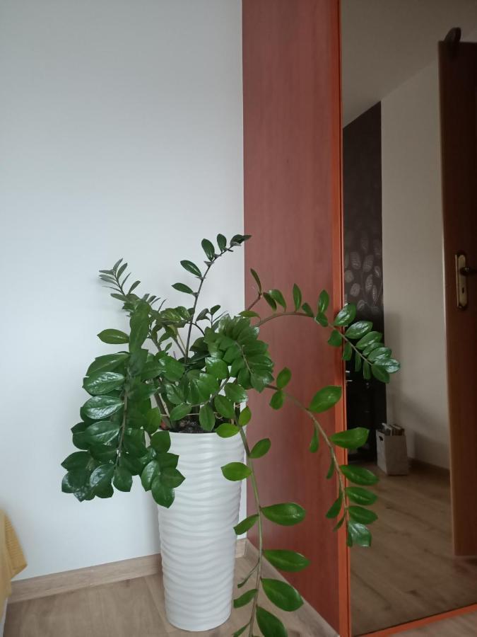 Pomaranczowa Apartment Szczecin Exterior foto